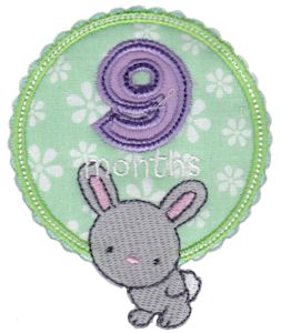Baby Months Applique 9