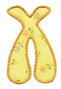 Bellbottom Capital X