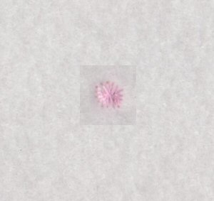 Candlewicking Alphabet Character 6