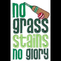 No Grass Stains No Glory