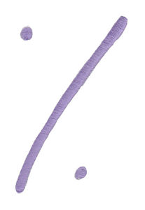 Curly Shirley Alpha Character 5