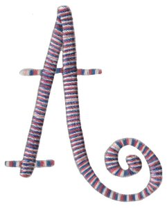 Curlz Alphabet A