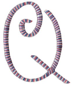 Curlz Alphabet Q