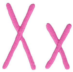 Cutie Patootie Alpha X