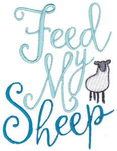 Feed My Sheep