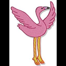 Flamingos 5