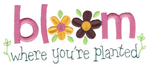 Bloom Where You Are Planted