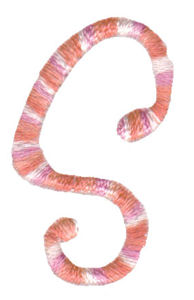 Girls Are Weird Capital S