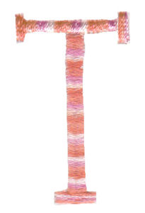 Girls Are Weird Capital T