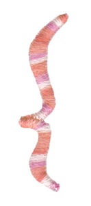 Girls Are Weird Character 12