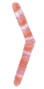 Girls Are Weird Character 6