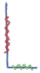 Halloween Doodle Letters L