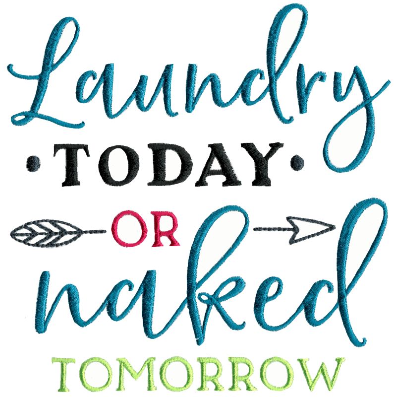Laundry Today Or Naked Tomorrow