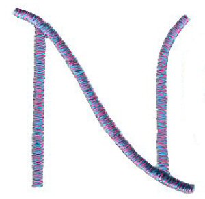 Hunkaspunk Capital N