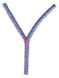 Hunkaspunk Capital Y