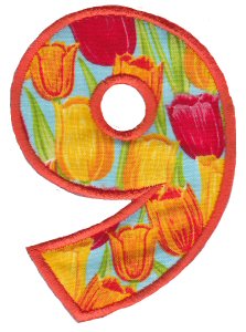 Kids Alpha Applique 9