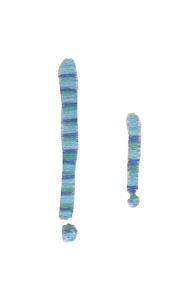 Miss Smarty Pants Alpha Character 1