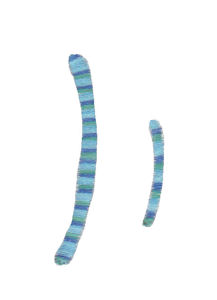 Miss Smarty Pants Alpha Character 10