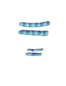 Miss Smarty Pants Alpha Character 13