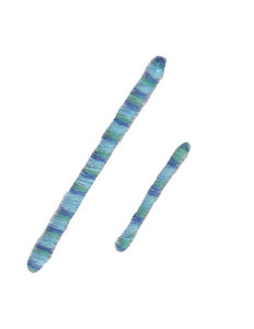 Miss Smarty Pants Alpha Character 27