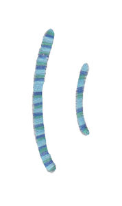 Miss Smarty Pants Alpha Character 9