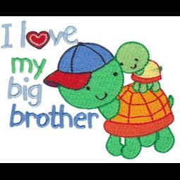 I Love My Big Brother Turtles