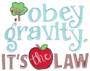 Obey Gravity It's The Law