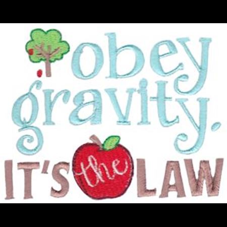 Obey Gravity It's The Law