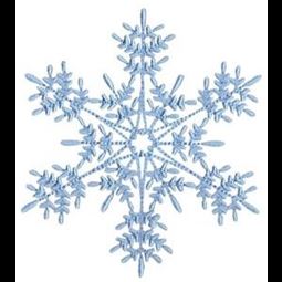 Snowflakes Too 14