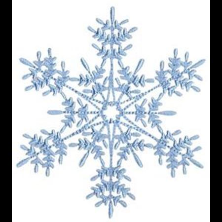 Snowflakes Too 14