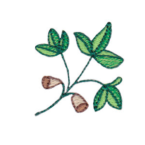 Spring Splendour Minis 14