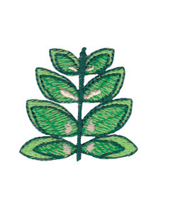 Spring Splendour Minis 15