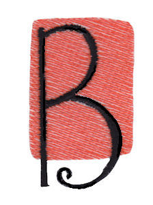 Tiny Blocks Alphabet Capital B