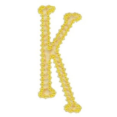Vintage Delicious Applique Alphabet k