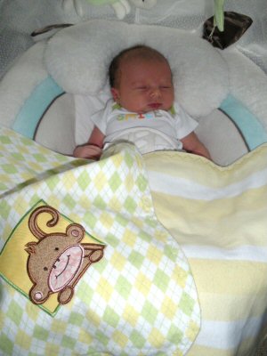 Lyns Monkey and Friends Blanket